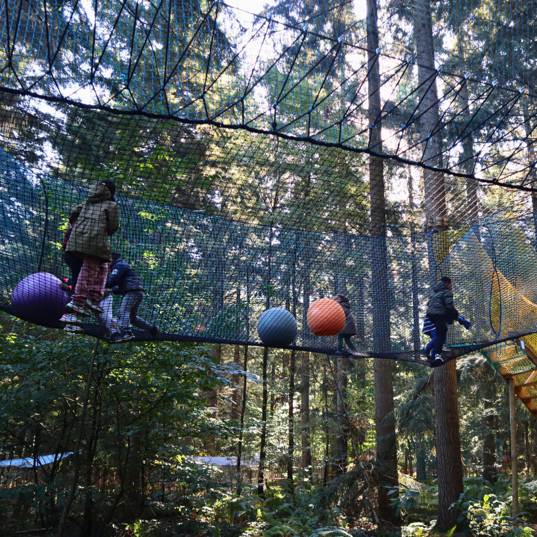 FUNNY FOREST